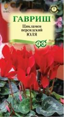 Цикламен персидский Юля цв.п 3шт Гавриш
