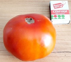 Томат Гном Маралинга цв.п 10шт Медведев