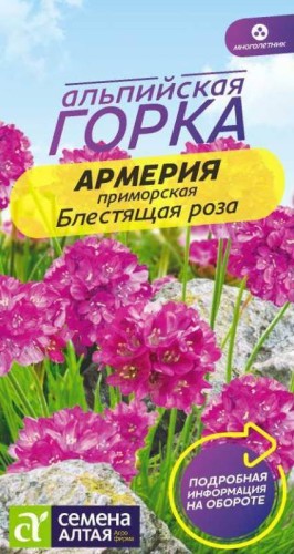 Армерия Блестящая Роза приморская цв.п 0,03гр Семена Алтая