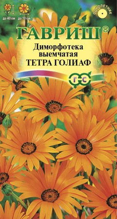 Диморфотека Тетра Голиаф цв.п 0,1гр Гавриш