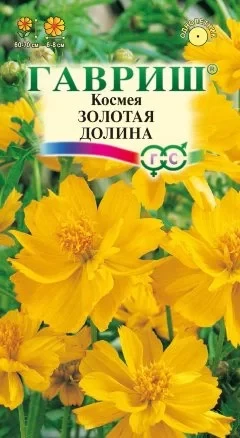 Космея Золотая Долина махровая цв.п Гавриш
