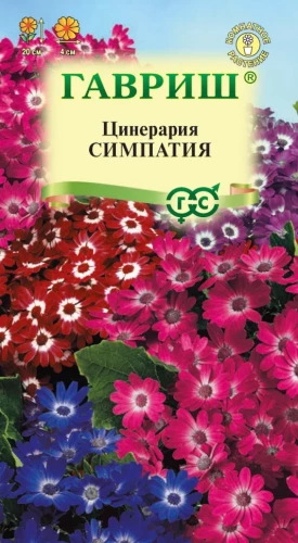 Цинерария Симпатия гибридная цв.п 8шт Гавриш