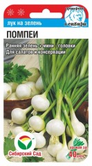 Лук на зелень Помпеи цв.п 0,5гр Сибирский Сад