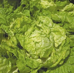 Салат Король Рынка цв.п 1гр НК Русский Огород