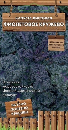 Капуста листовая Фиолетовое Кружево цв.п 0,1гр Поиск