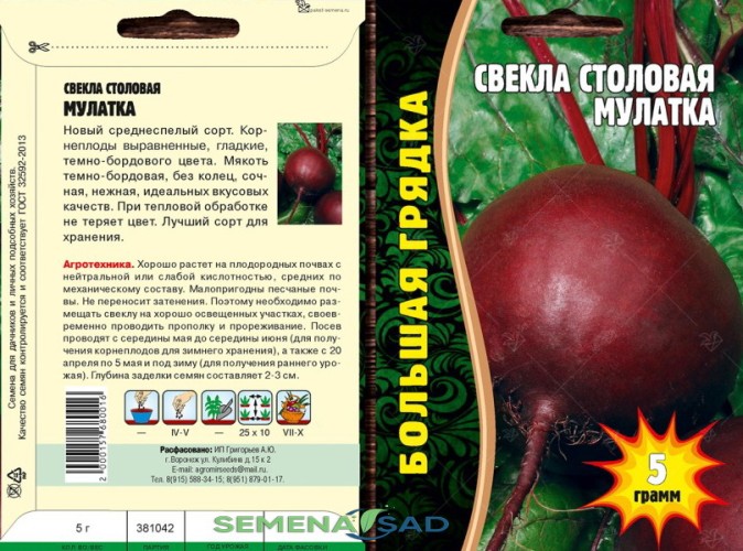 Свёкла Мулатка цв.п 5гр ИП Григорьев