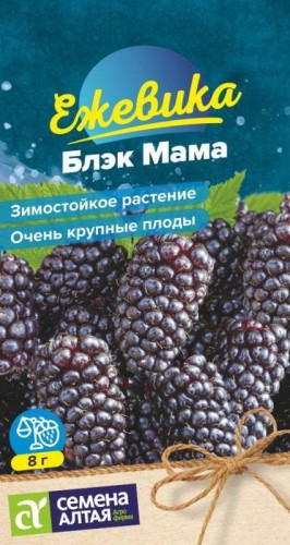 Ежевика Блэк Мама цв.п 0,3гр Семена Алтая