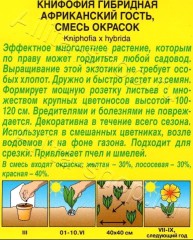 Книфофия Африканский Гость, смесь сортов цв.п 30шт Аэлита