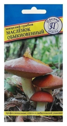 Мицелий грибов Маслёнок обыкновенный, 50мл, Престиж