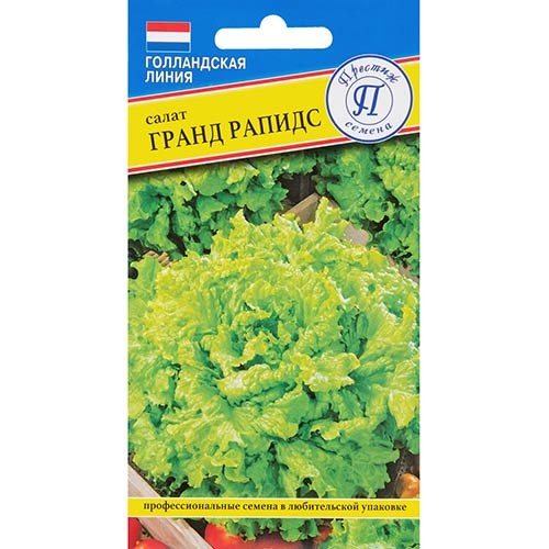 Салат Гранд Рапидс цв.п 10шт Престиж