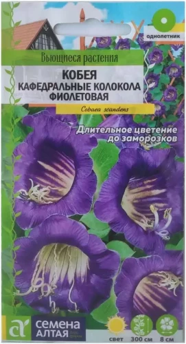 Кобея Кафедральные колокола фиолетовая цв.п 5шт Семена Алтая