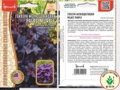 Гейхера Palace Purple мелкоцветковая PanAm цв.п 10шт ИП Григорьев