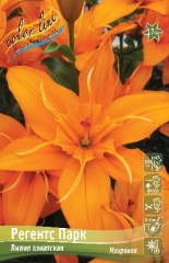 Лилия Регентс Парк азиатская махровая Colorline
