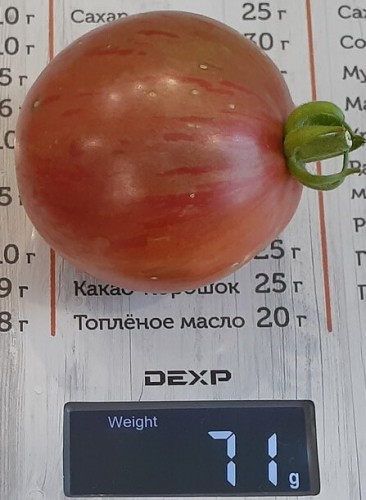 Томат Гном Чероки Черный Тигр цв.п 10шт Медведев
