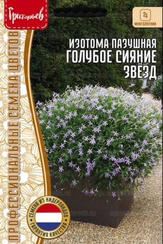 Изотома Голубое Сияние Звёзд пазушная (Лаурентия) (Starshine Blue) цв.п 3 драже ИП Григорьев