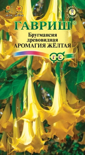 Брумгансия древовидная Аромагия Жёлтая 3шт Гавриш