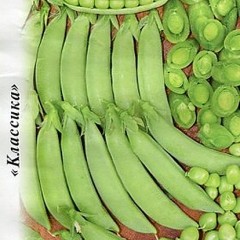 Горох Орегон Шуга сахарный цв.п 20гр НК Русский Огород