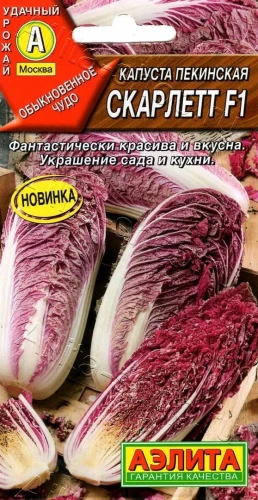 Капуста пекинская Скалетт F1 цв.п 5шт Аэлита