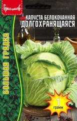 Капуста белокочанная Долгохранящаяся цв.п 1гр ИП Григорьев