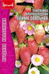 Земляника Прима Овальная крупноплодная цв.п 20шт ИП Григорьев