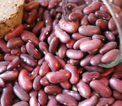 Фасоль Рубин цв.п 5гр Сибирский Сад