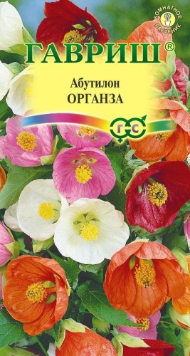 Абутилон Органза смесь цв.п 7шт Гавриш