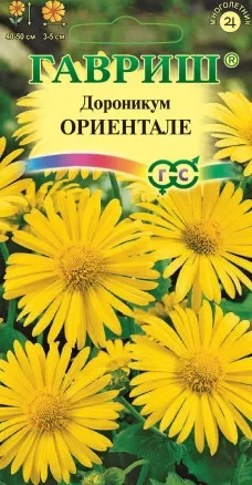 Дороникум Ориентале цв.п Гавриш