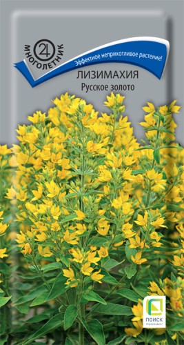 Лизимахия Русское Золотоцв.п 0,05гр Поиск