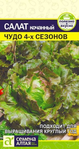 Салат Чудо 4-х Сезонов цв.п 0,5гр Семена Алтая
