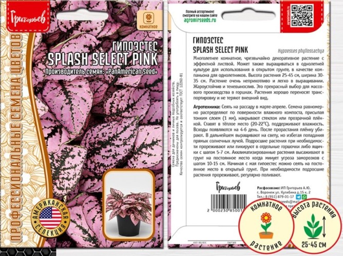 Гипоестес Splash Select Pink PanAmerican цв.п 4шт ИП Григорьев