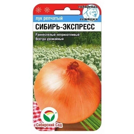 Лук репч. Сибирь-Экспресс цв.п 1гр Сибирский Сад