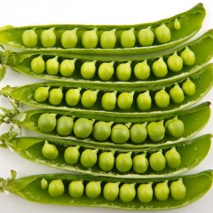 Горох Сладкий Поползун цв.п 5гр Сибирский Сад