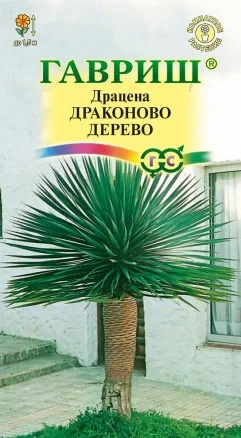 Драцена Драконово Дерево цв.п 3шт Гавриш