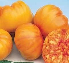 Томат Хурма цв.п 15шт ТомАгроС