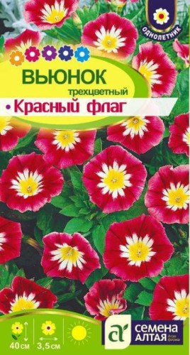 Вьюнок Красный Флаг цв.п 0,5гр Семена Алтая
