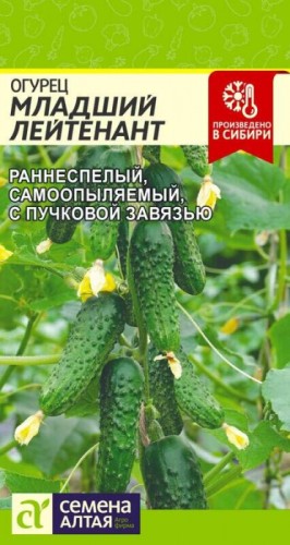Огурец Младший Лейтенант F1 цв.п 10шт Семена Алтая