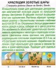 Краспедия Золотые Шары цв.п 0,05гр Аэлита