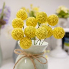 Краспедия Золотые Шары цв.п 0,05гр Аэлита