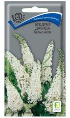 Буддлея Давида Белые Кисти цв.п.0,01гр Поиск