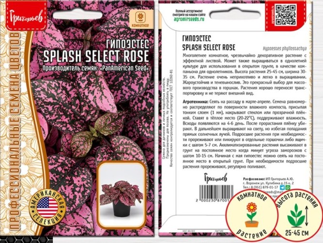 Гипоестес Splash Select Rose PanAmerican цв.п 4шт ИП Григорьев