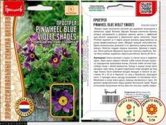 Прострел Pinwheel Blue Violet Shades цв.п 3шт ИП Григорьев