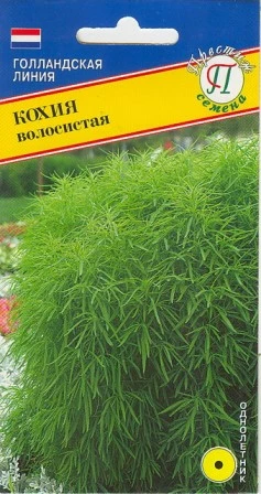 Кохия Волосистая цв.п 1гр Престиж