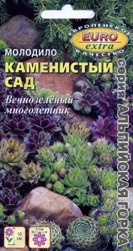 Молодило Каменистый Сад цв.п 0,005гр Аэлита
