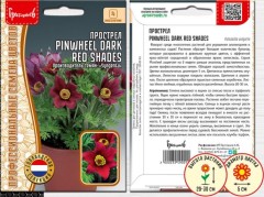 Прострел Pinwheel Dark Red Shades цв.п 3шт ИП Григорьев