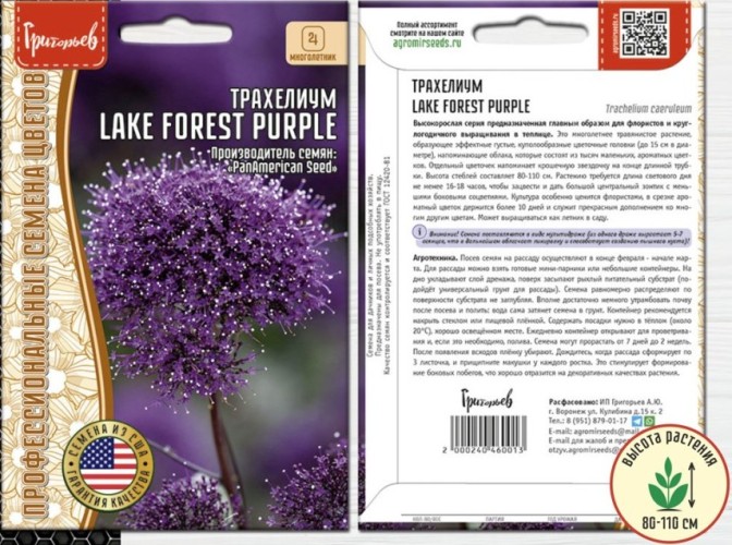 Трахелиум Lake Forest Purple цв.п 3шт ИП Григорьев