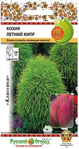 Кохия Летний Кипр цв.п 0,3гр НК Русский Огород