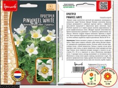 Прострел Pinwheel White цв.п 3шт ИП Григорьев