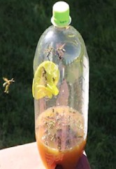 Ловушка для мух и ос в бутылку Мухояр  - Ваше Хозяйство