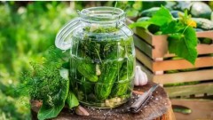 Огурец Директор F1 цв.п 5шт Поиск