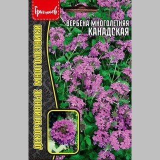 Вербена Канадская многолетняя цв.п 0,05гр ИП Григорьев